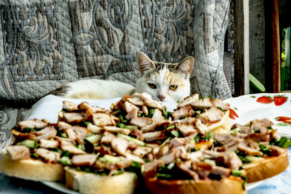 Photograph by Вадим Провоторхов