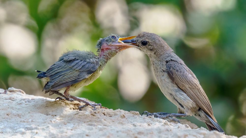 Photograph by Шварцман Евгений
