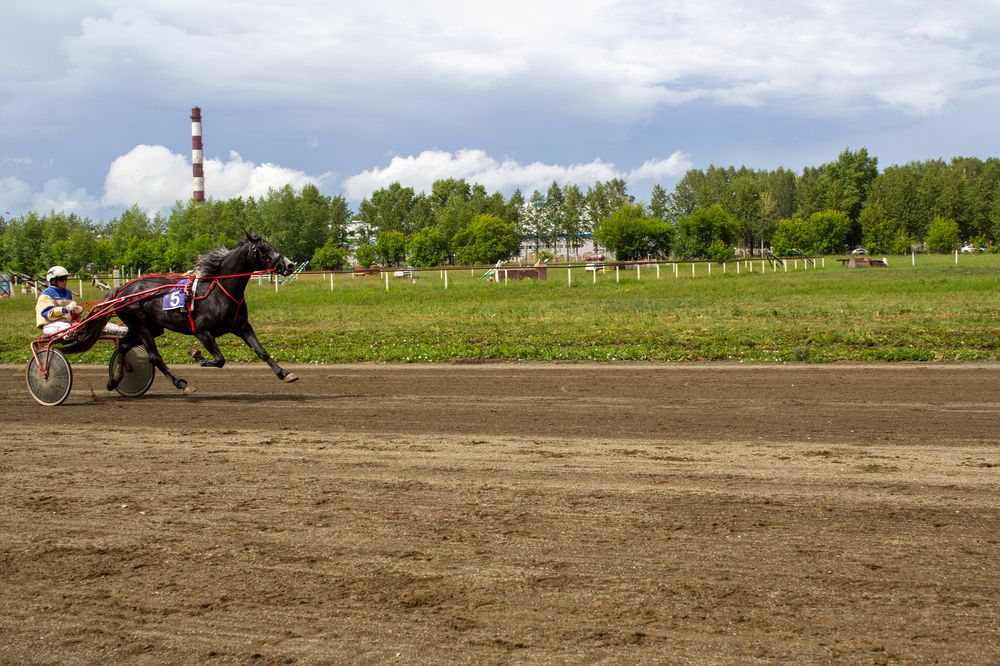 Photograph by Юлия Ковешникова