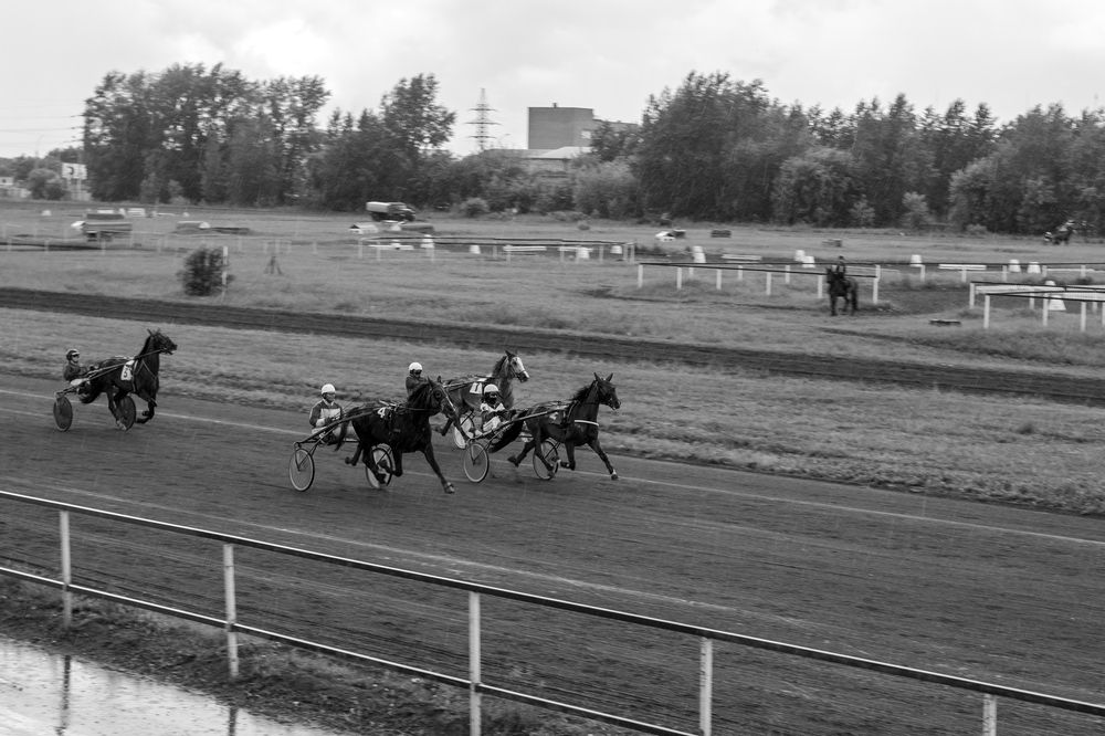 Photograph by Юлия Ковешникова