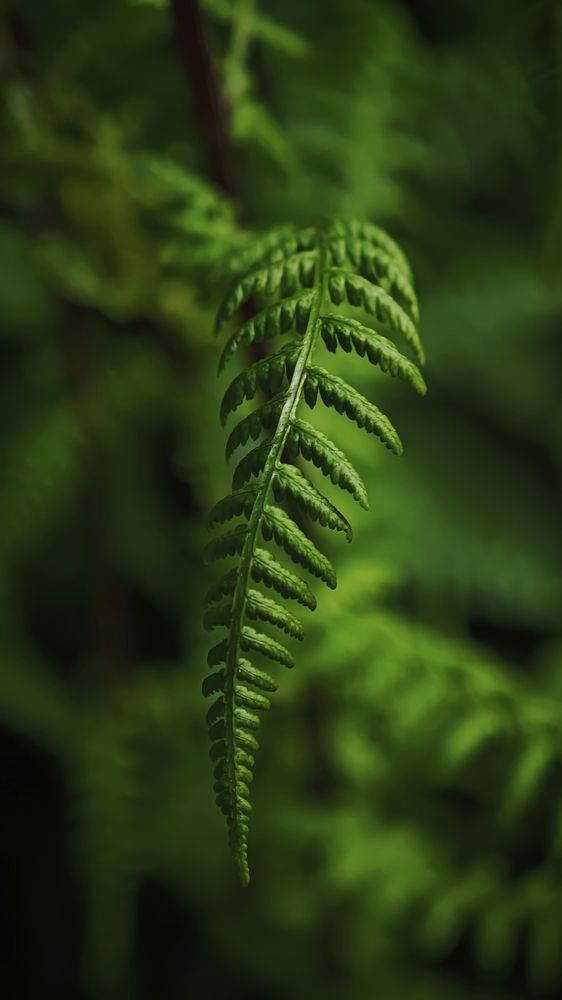 Photograph by Ekaterina Sapezhinskaya