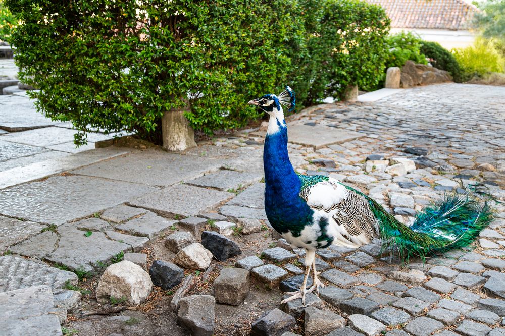 Photograph by Ivars Andrups