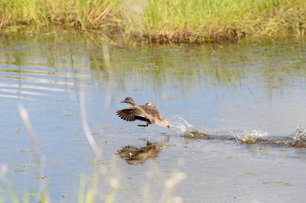 Фотография автора Флетчер Сергей