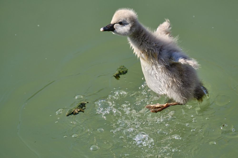 Photograph by Василий Арлашов