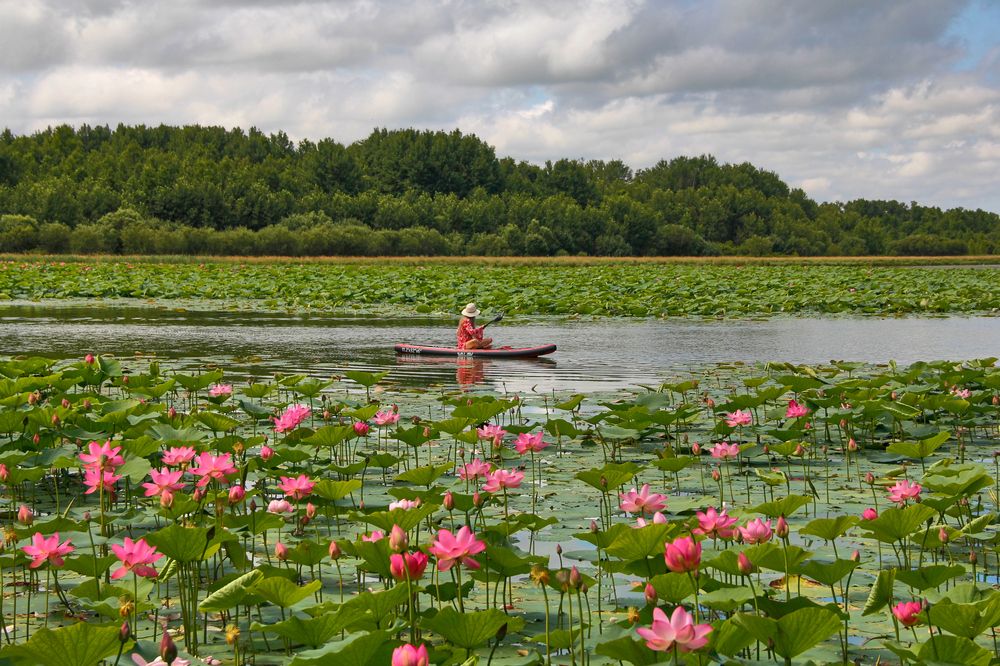 Фотография автора Наталия Мащенко