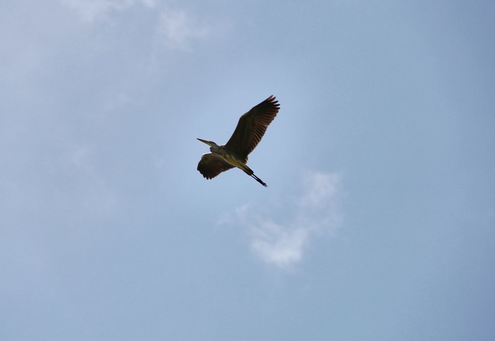 Фотография автора Наталия Мащенко