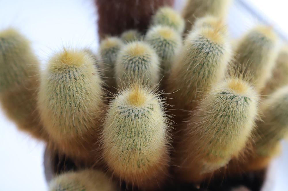 Фотография автора Мария