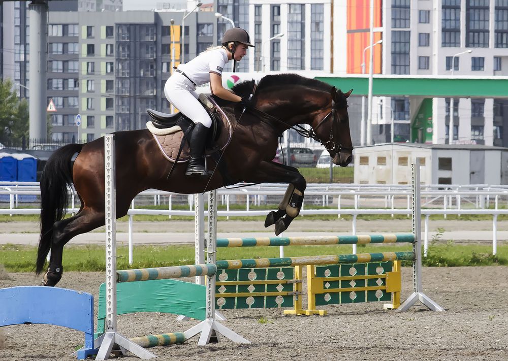 Photograph by Алексей Патлах