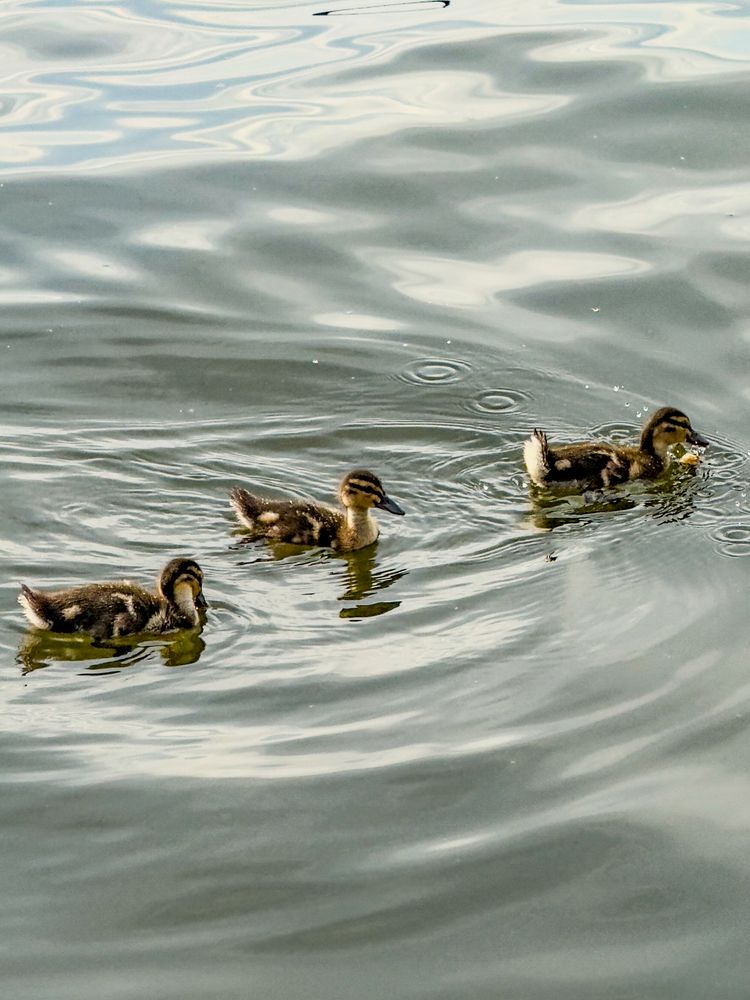 Photograph by Ekaterina Slepneva