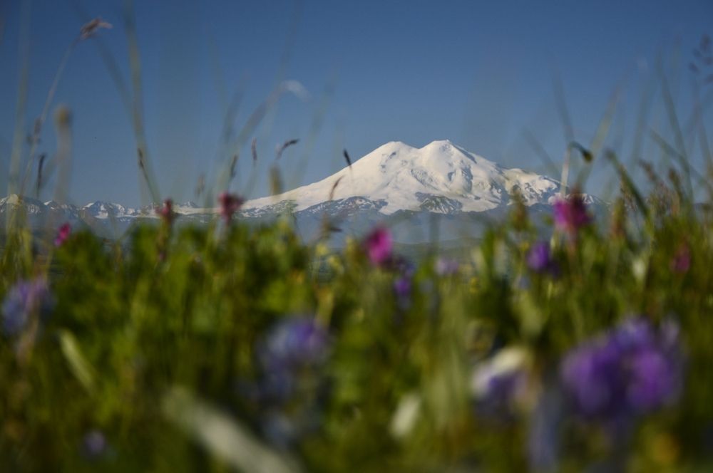 Photograph by Светлана Тимошенко