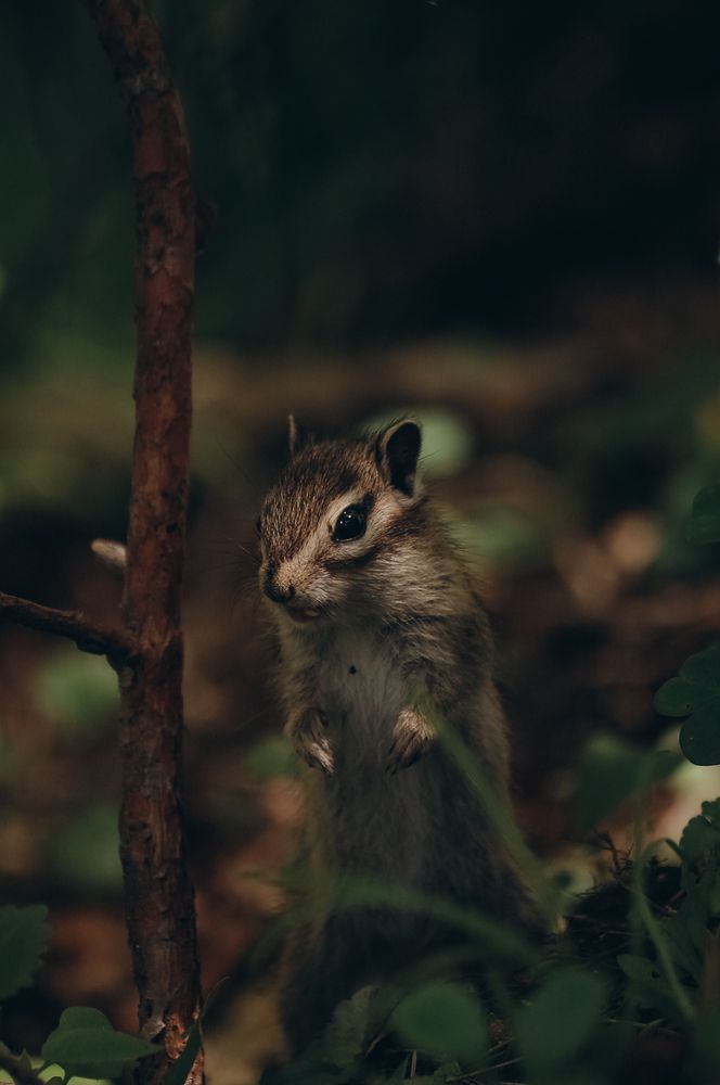 Photograph by Ригина Айдель