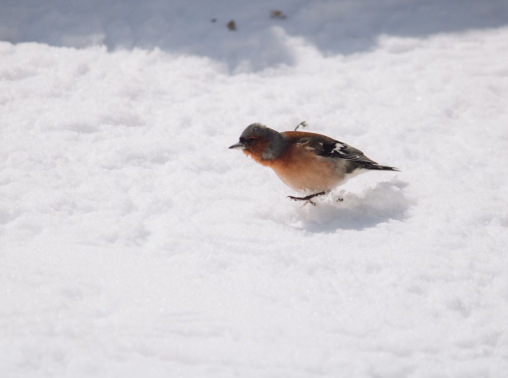 Photograph by Ригина Айдель