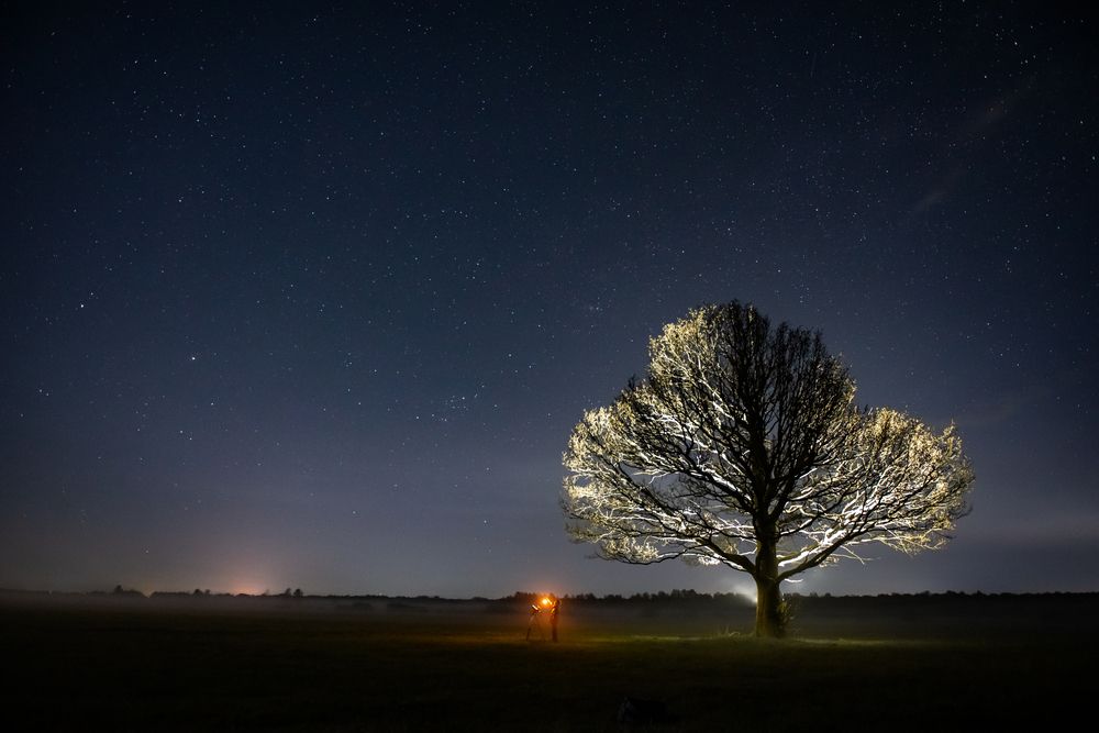 Photograph by Елена Владимировна