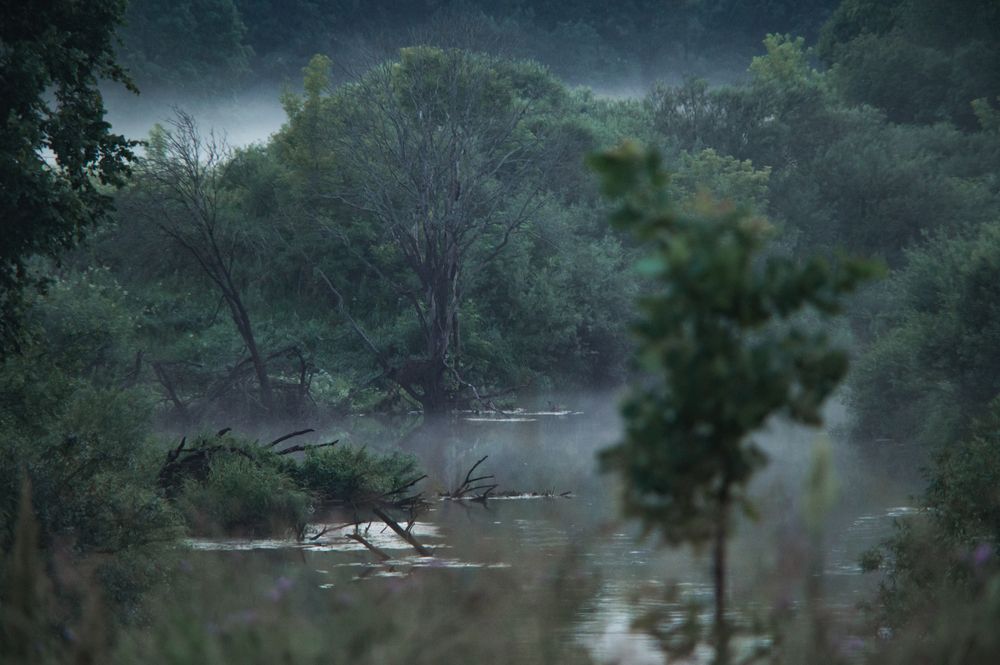 Фотография автора Елена Владимировна