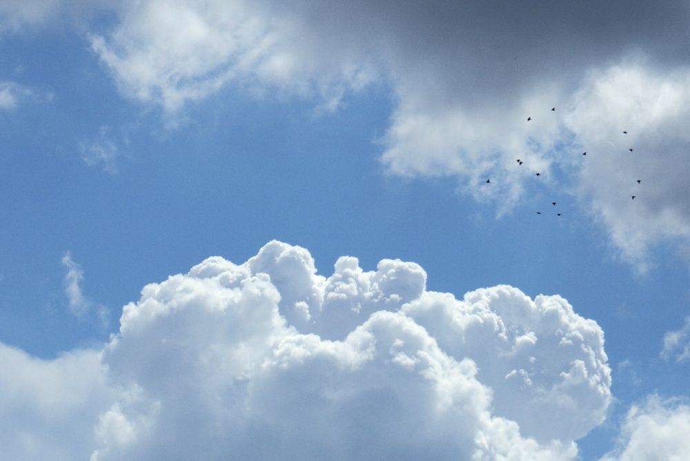 Фотография автора Анастасия Мешкова