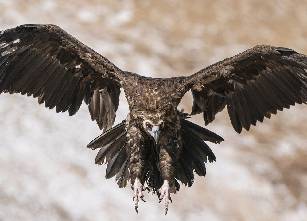 Photograph by Алексей Романов