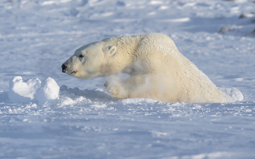 Photograph by Алексей Романов