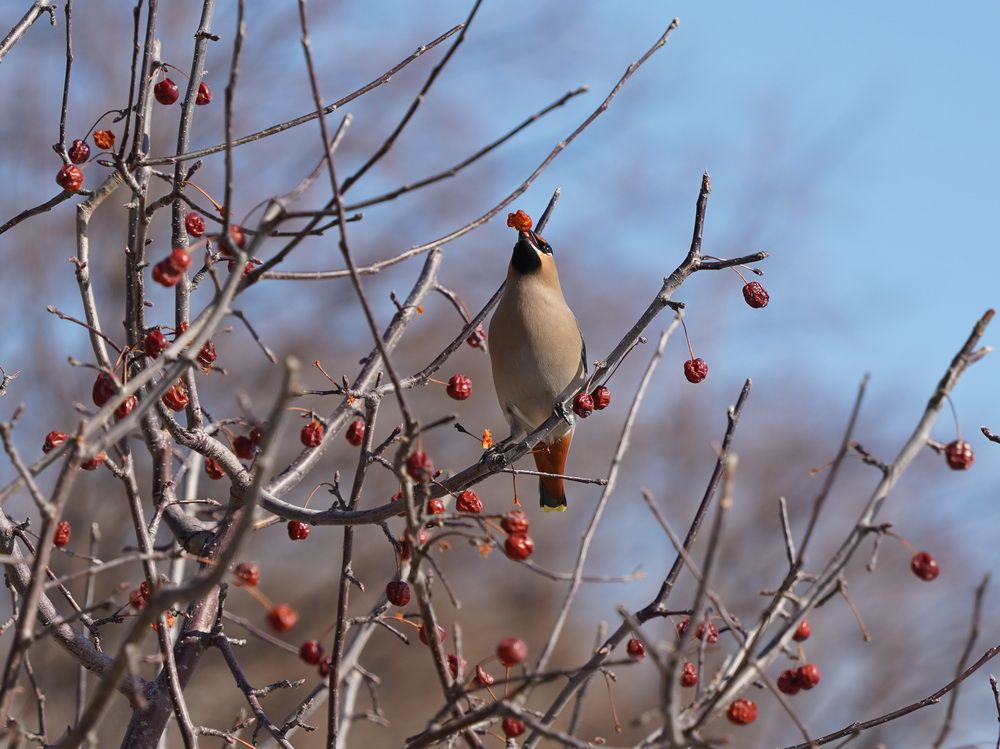 Photograph by Alexandr Klyuev