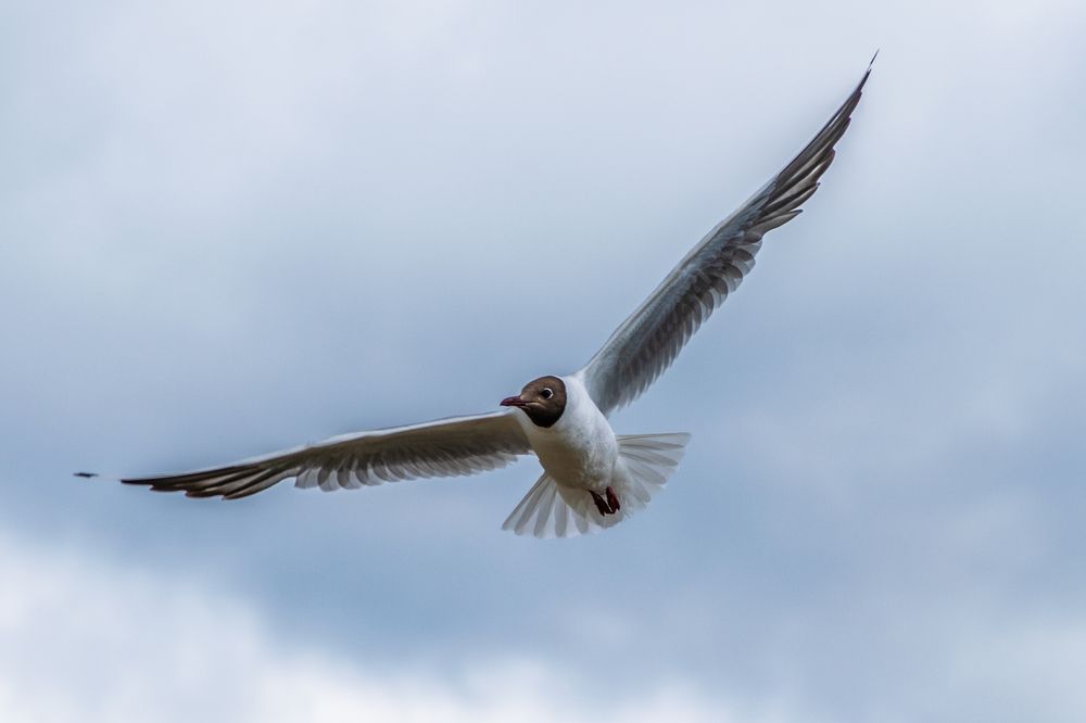 Photograph by Дмитрий Анисимов