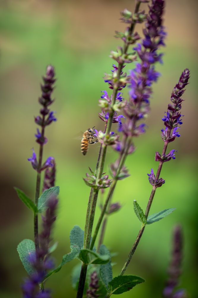Фотография автора  Мария