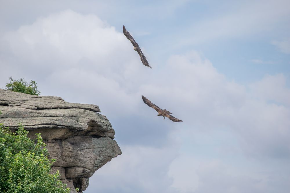 Photograph by Дмитрий Анисимов