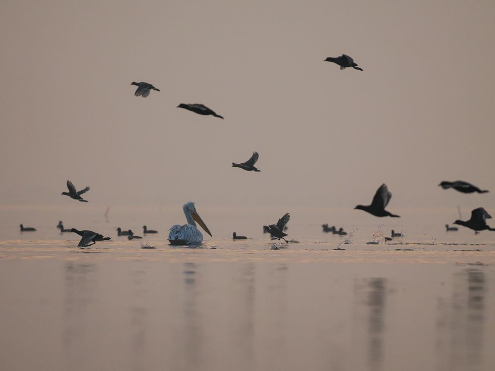 Photograph by Hardeep Solanki