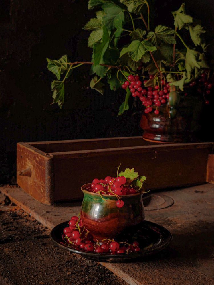 Photograph by Екатерина Брехова