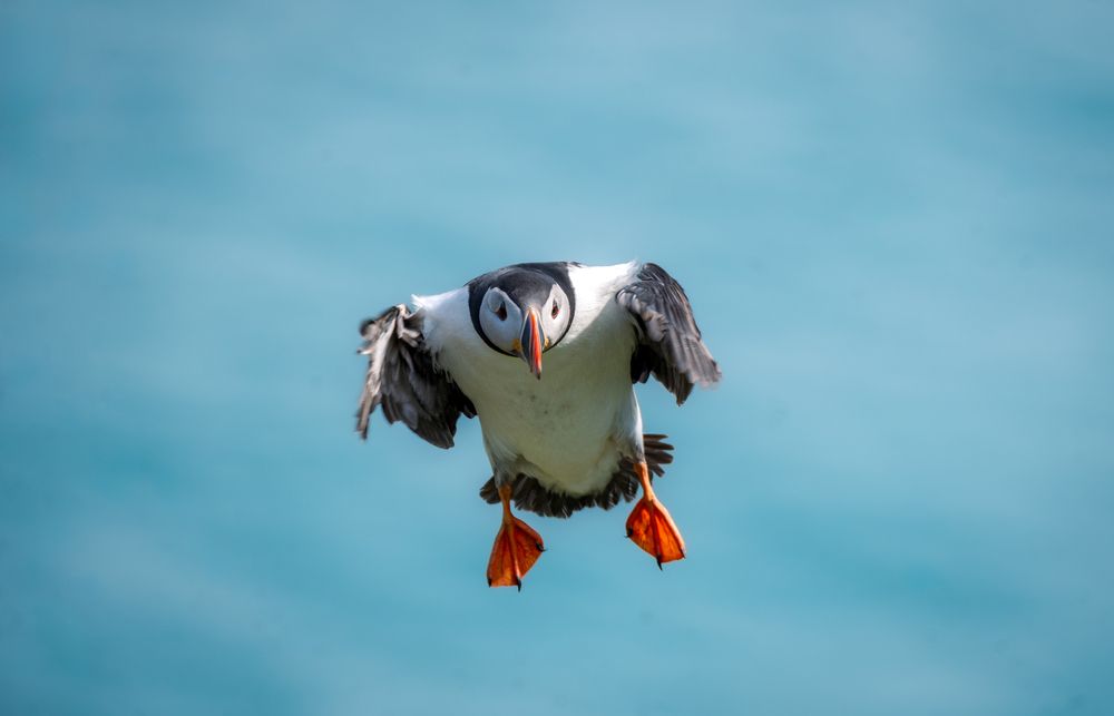 Photograph by Harsha Devalla