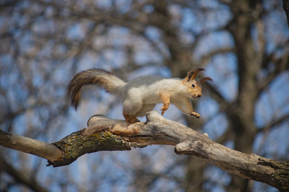 Фотография автора Потоцкий Вячеслав