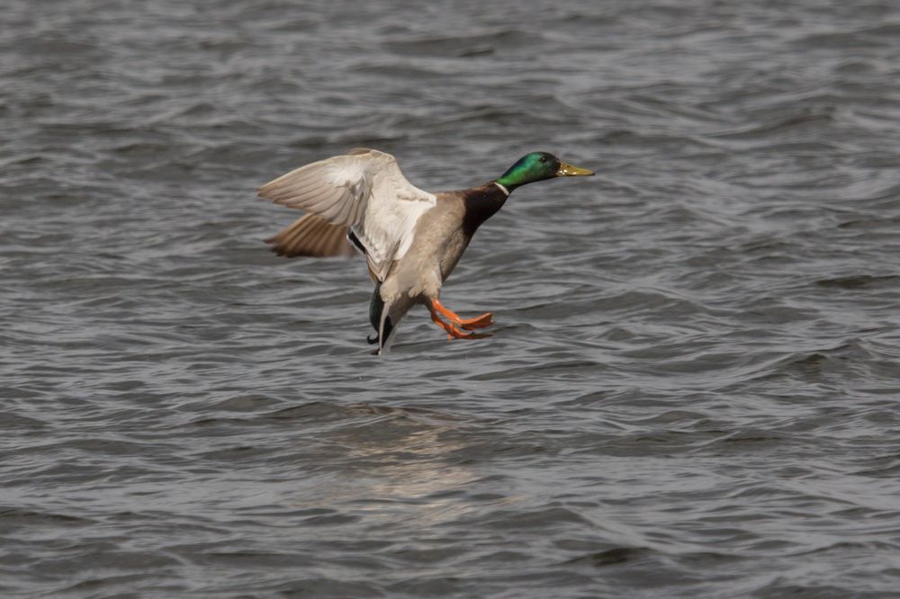 Фотография автора Потоцкий Вячеслав