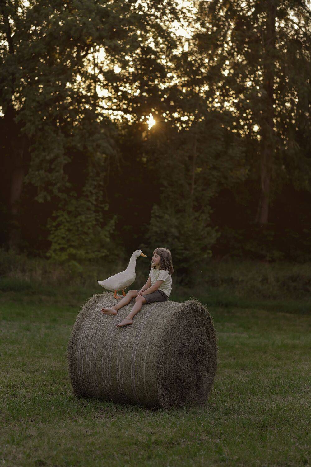 Фотография #12372384