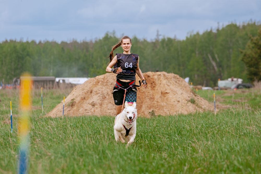 Photograph by Татьяна Степанова