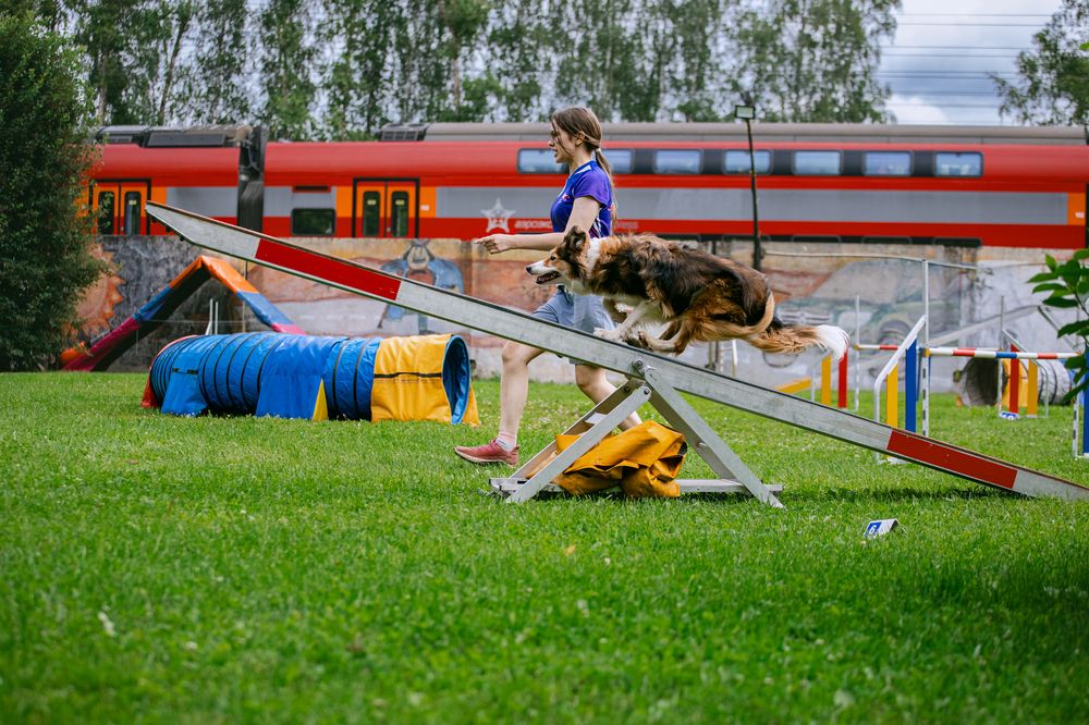 Photograph by Татьяна Степанова