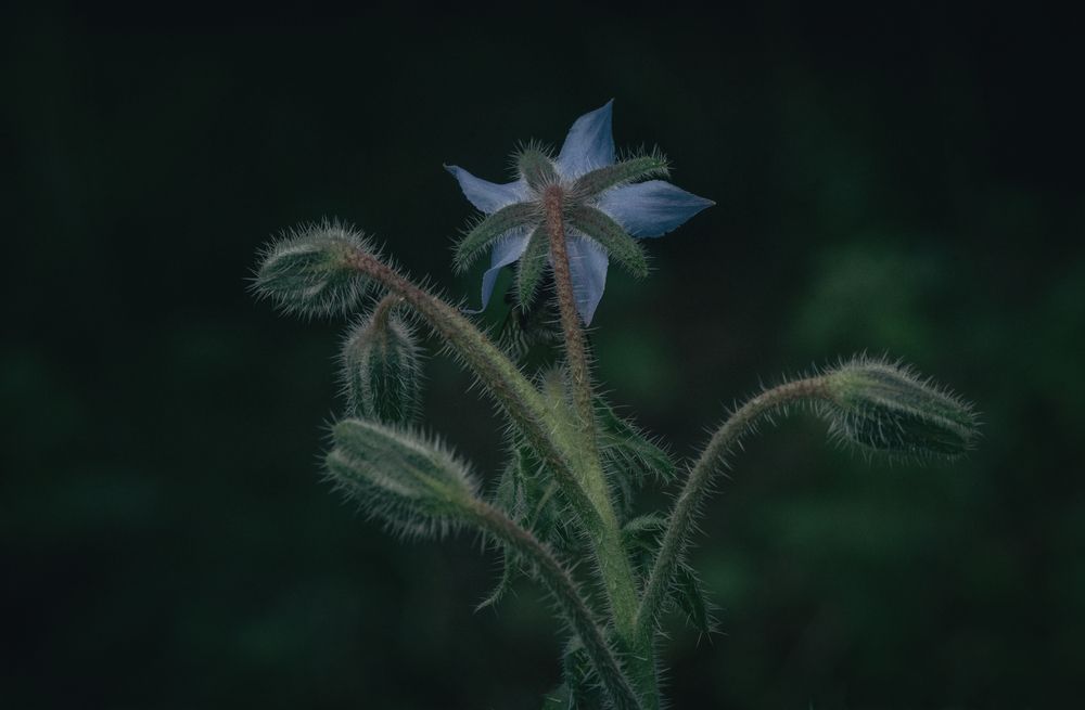 Photograph by Николай Xxxxxx