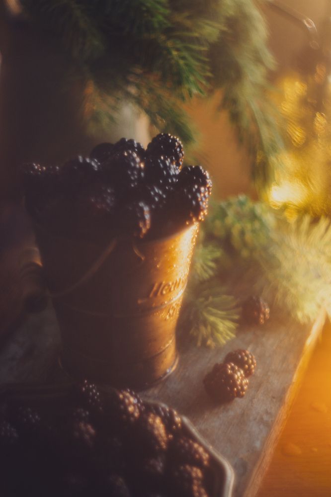 Photograph by Elena Kilina