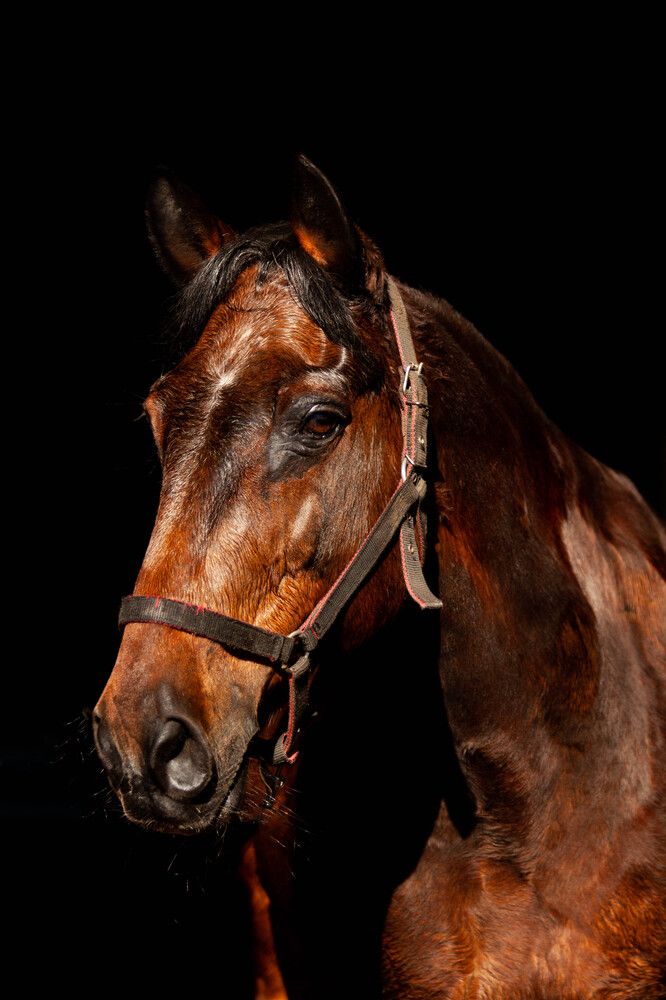 Photograph by Lubov Kirsanova