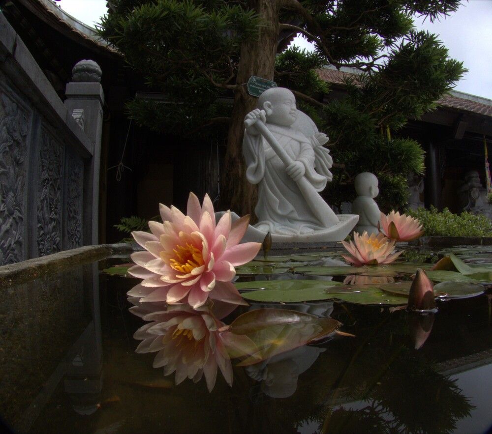 Фотография автора Елена Соловьева