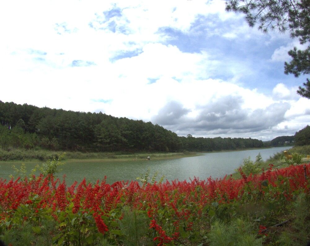Фотография автора Елена Соловьева