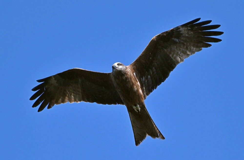 Фотография автора Садыков