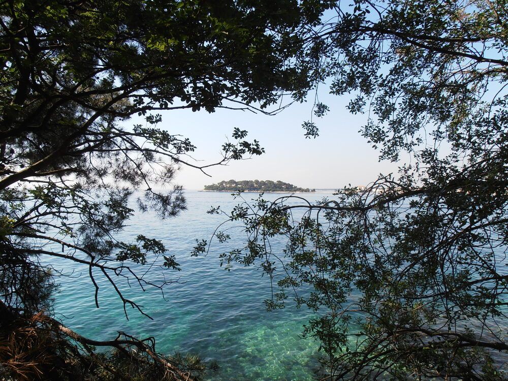 Photograph by Olga Kot