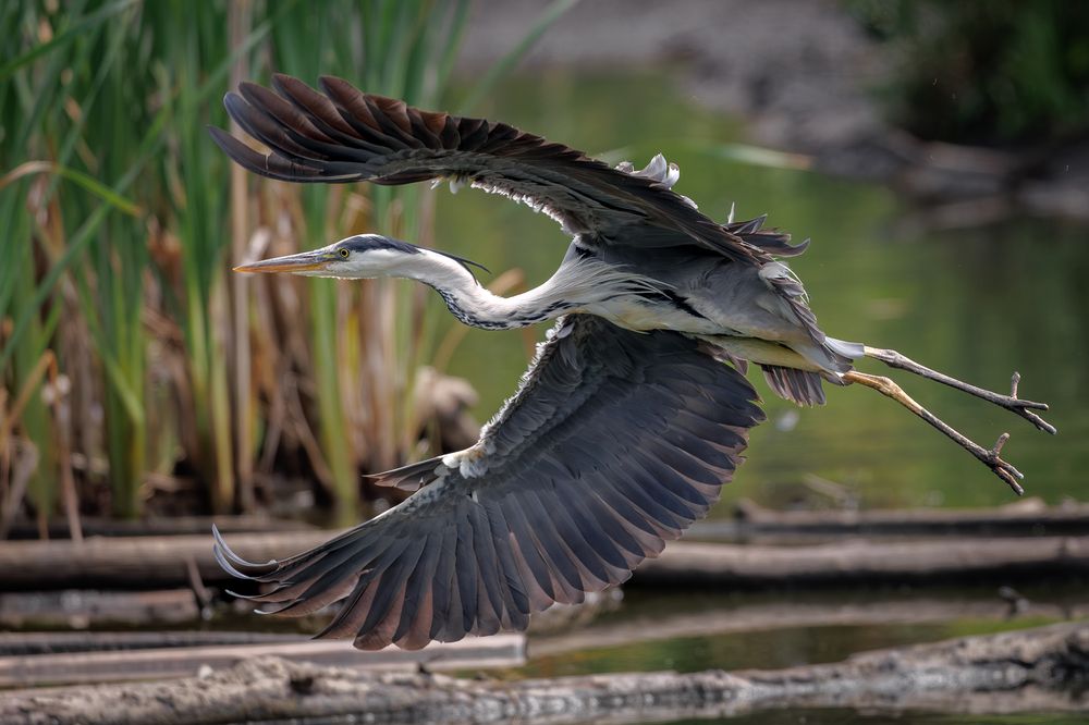 Photograph by Антон Науменко