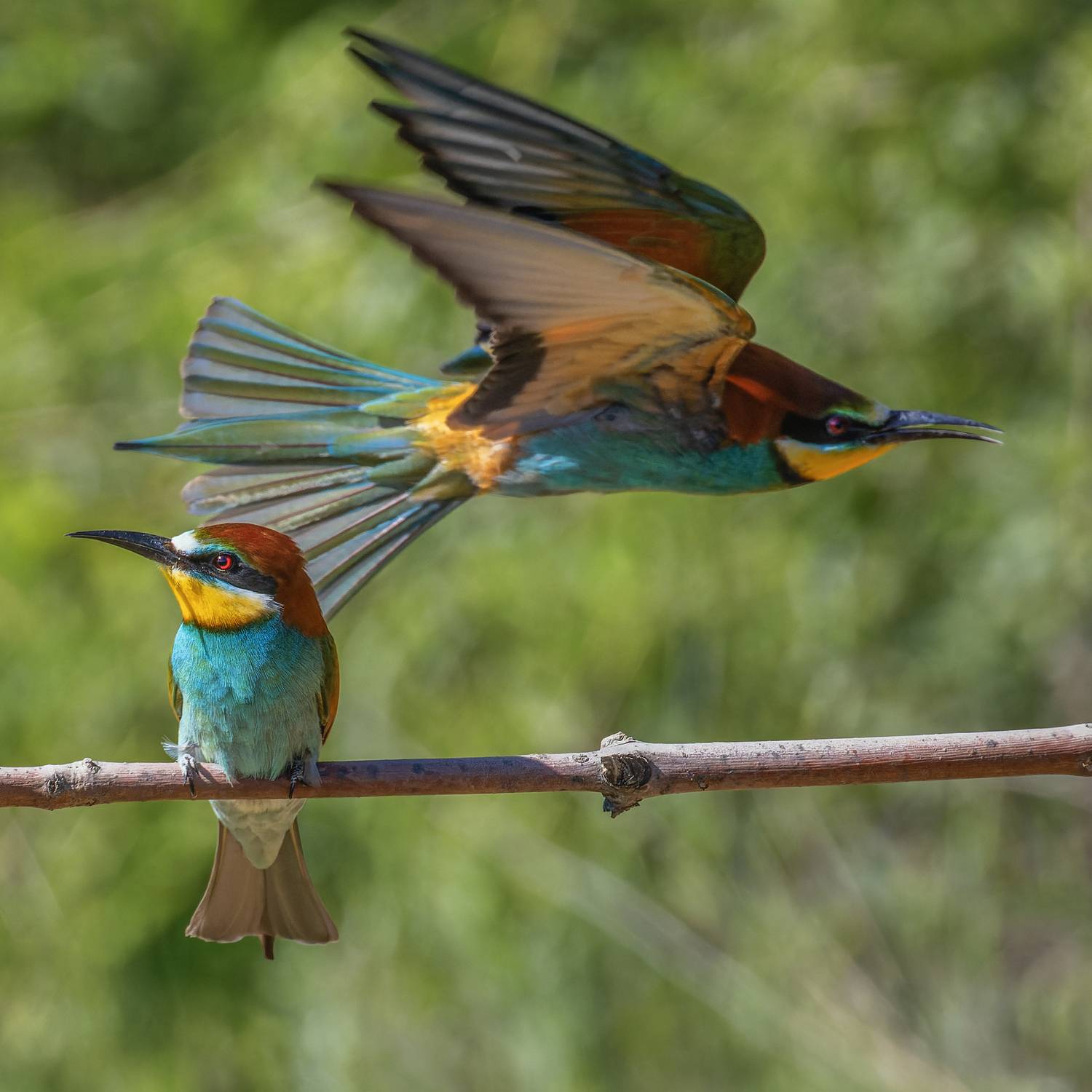 Мы все такие разные