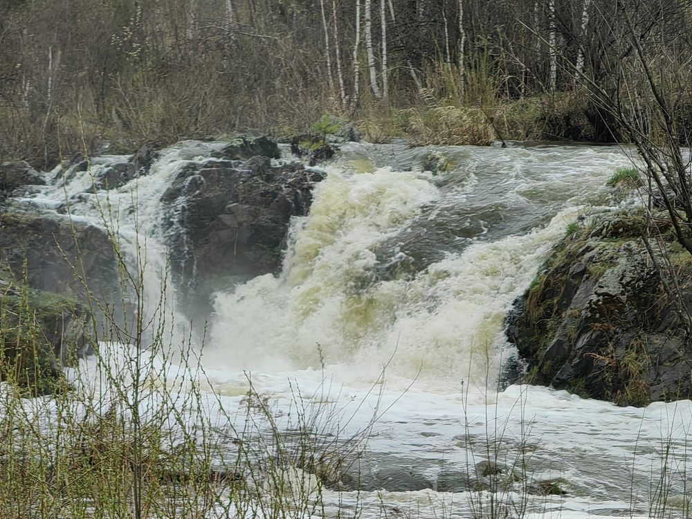 Photograph by Чкареули Светлана