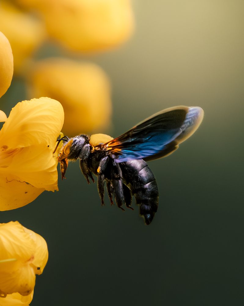 Photograph by Jit Roy