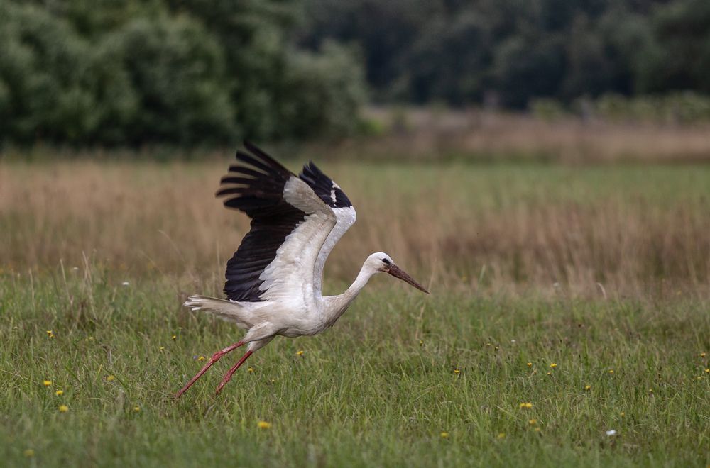 Photograph by Щепотина Татьяна