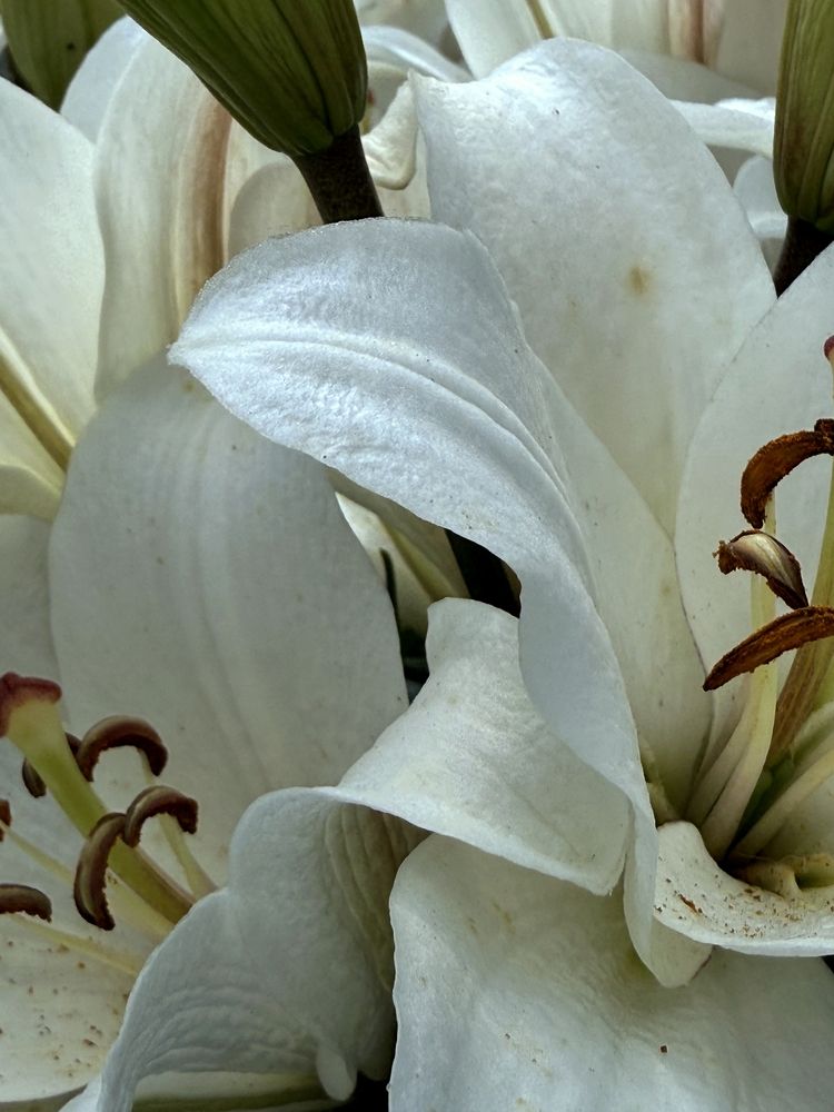 Фотография автора Анастасия