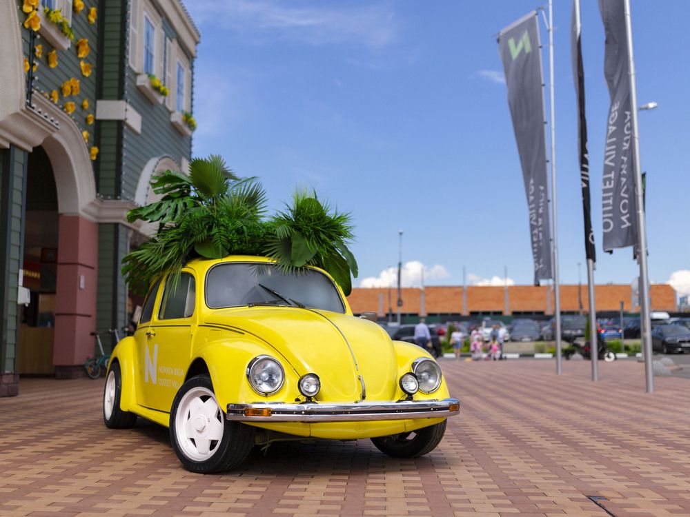 Photograph by Олег Дорошенко