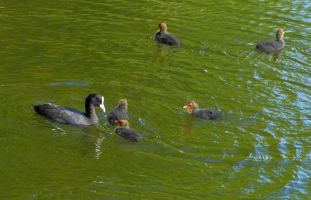 Photograph by Ян Адамсон