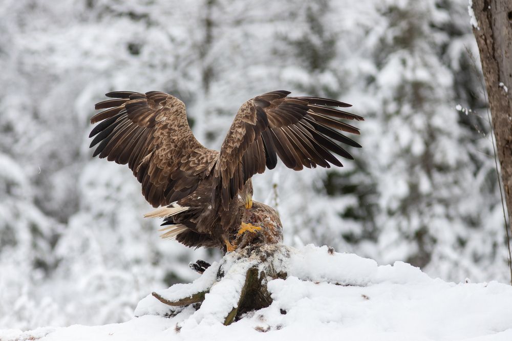 Photograph by Евгения Севрюкова