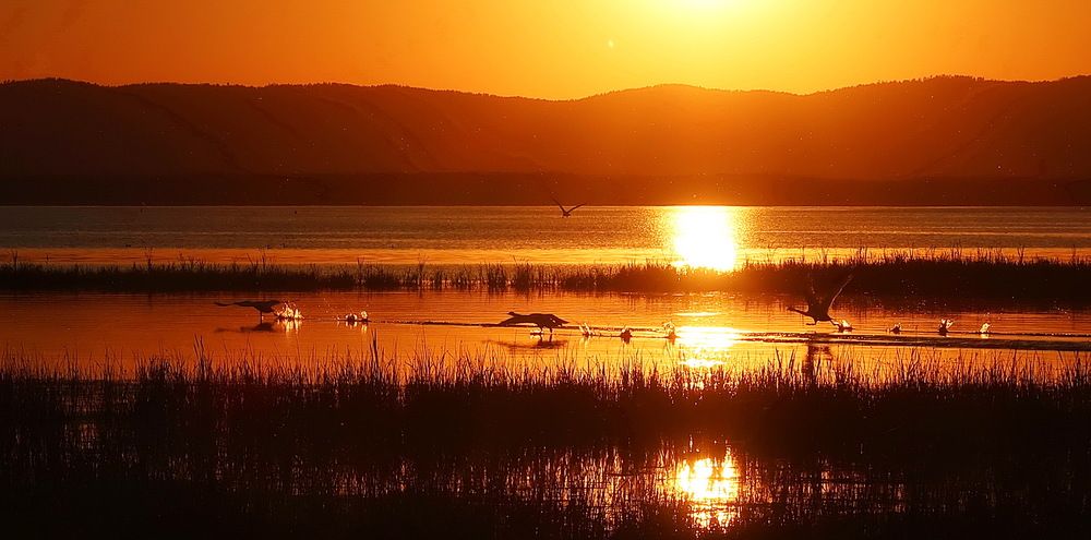 Photograph by Нина